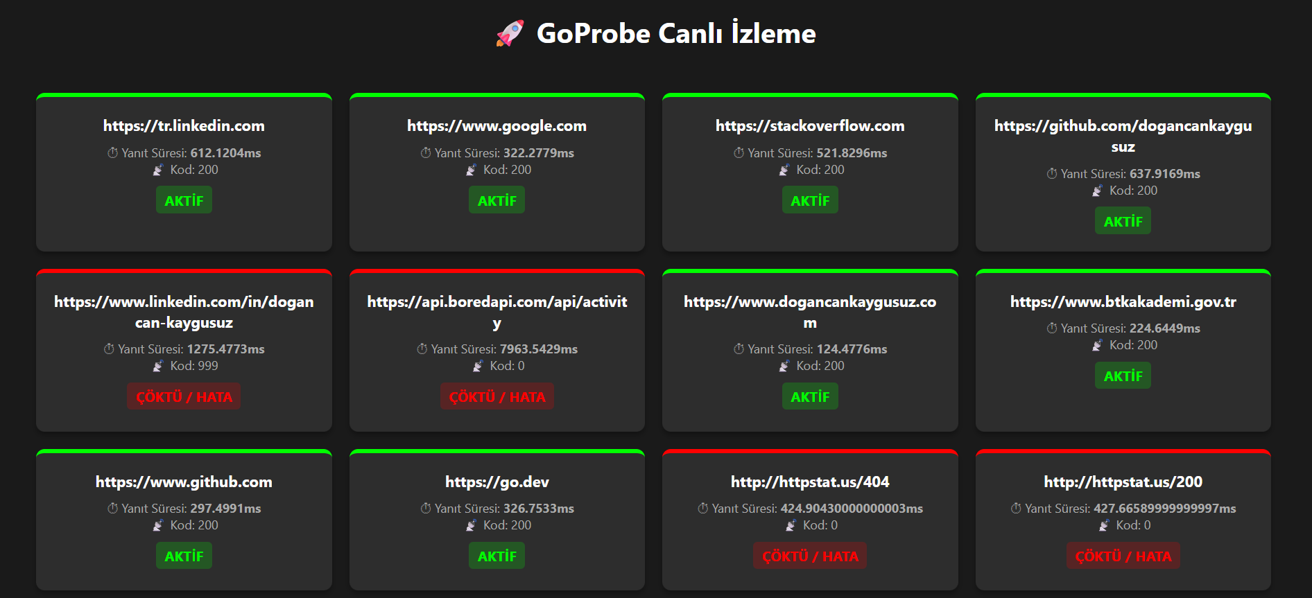 GoProbe CLI Aracı Ekran Görüntüsü
